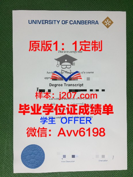 大阪工业大学录取通知书 OFFER 定制：开启日本留学新篇章