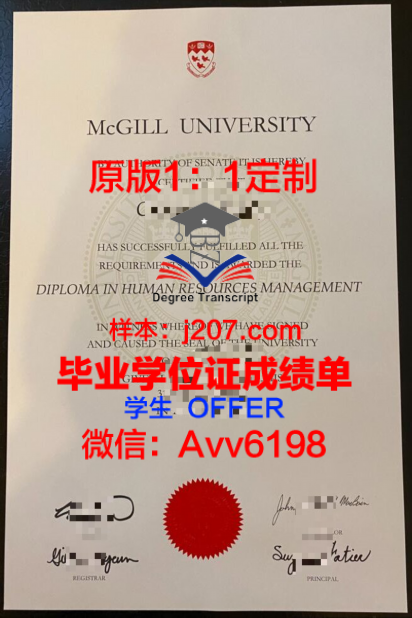 视光大专毕业证的用途与价值