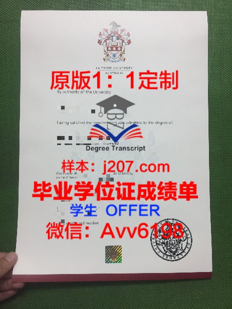 音乐与表演艺术学院学位证：开启艺术职业生涯的钥匙