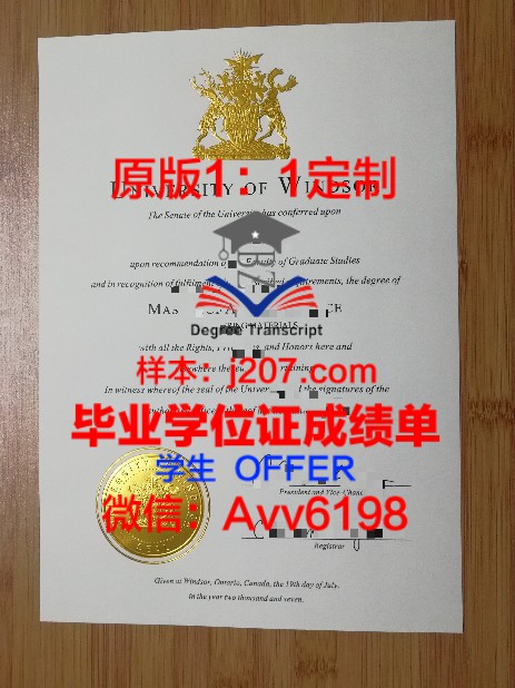 MNU学位文凭定制：打造个性化教育新篇章