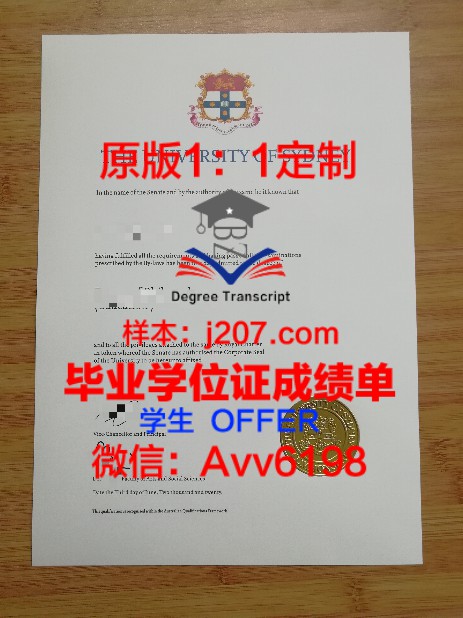 GifuU硕士毕业证：一张纸背后的故事