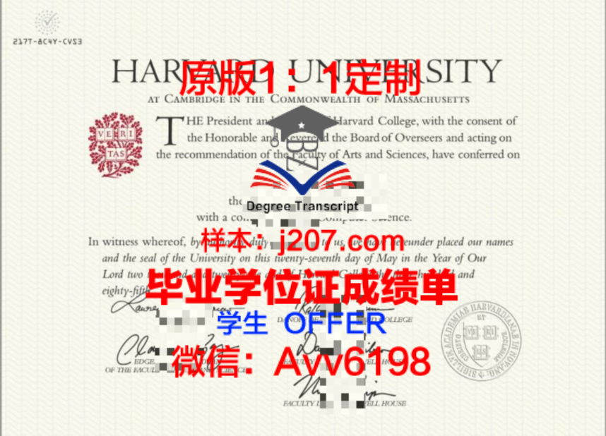 哈佛大学博士读几年：探索学术巅峰的旅程