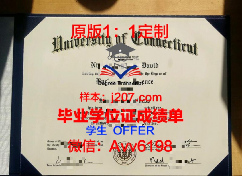 雷焦卡拉布里亚美术学院毕业证定制：承载荣誉与梦想的精致艺术品