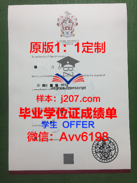 国家研究型托姆斯克国立大学毕业证成绩单：学术实力的见证