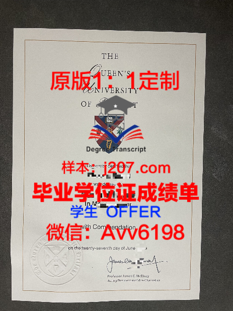VGTU毕业证成绩单：一份承载荣誉与回忆的证书