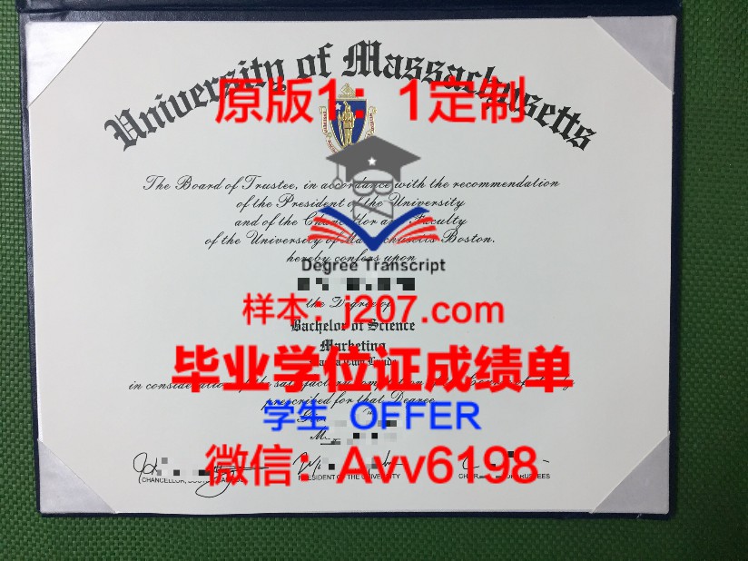 莫斯科苏里科夫国立美术学院硕士学位证的重量与价值