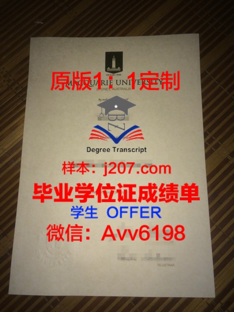 国际政治学位证有用吗？