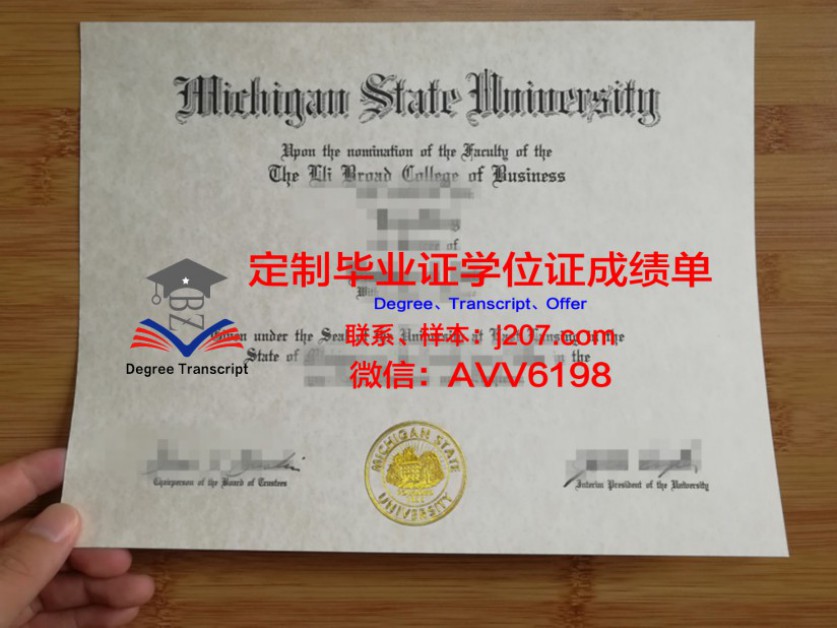佛罗里达大学学位证书(佛罗里达大学本科专业)