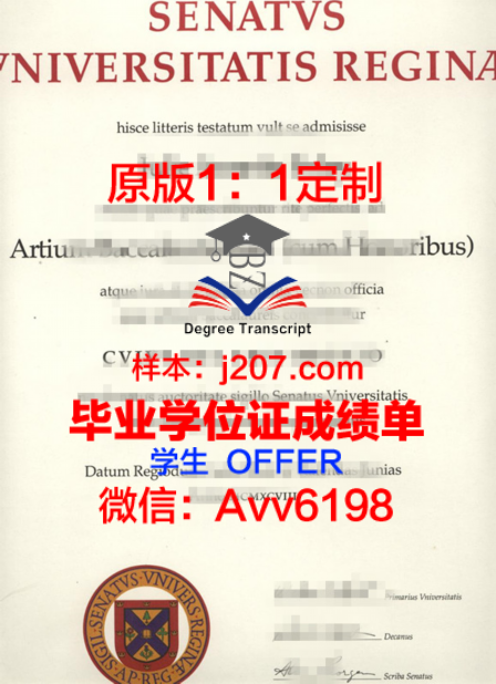 蒙斯学位成绩单定制：探究学术诚信与职业发展的边界