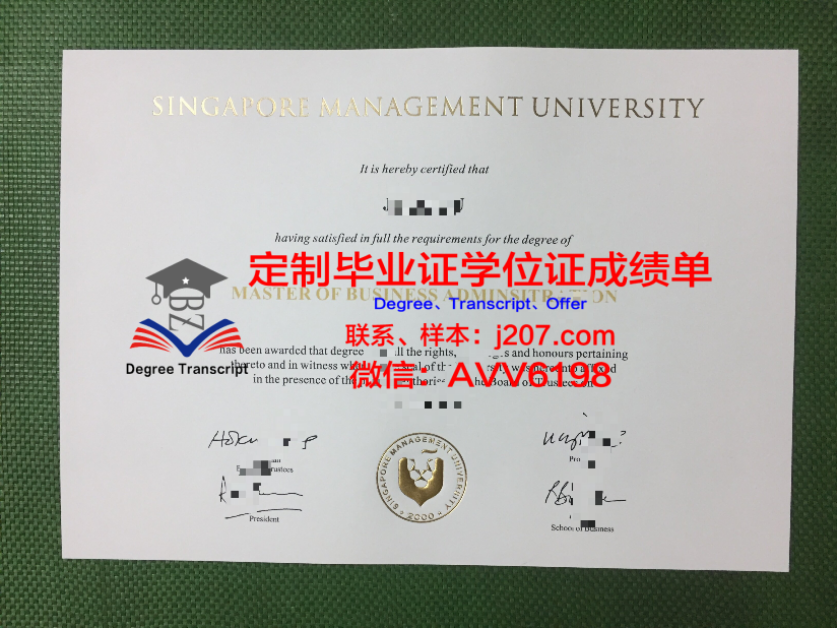 布拉戈维申斯克国立师范学院录取通知书 OFFER 定制：开启俄罗斯教育之旅
