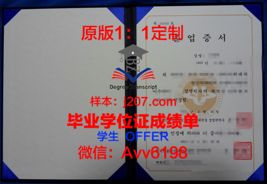 阿联大学位成绩单定制：揭秘背后的真相与影响