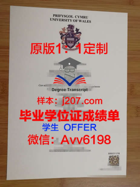 苏黎大成绩单：记录辉煌，砥砺前行