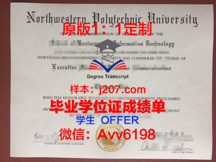 McG成绩单：揭示美国高校教学质量的秘密武器