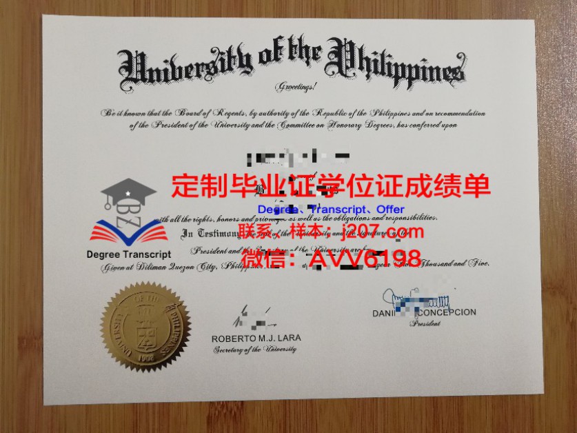丹麦理工大学成绩单怎么打印(丹麦理工大学研究生申请)