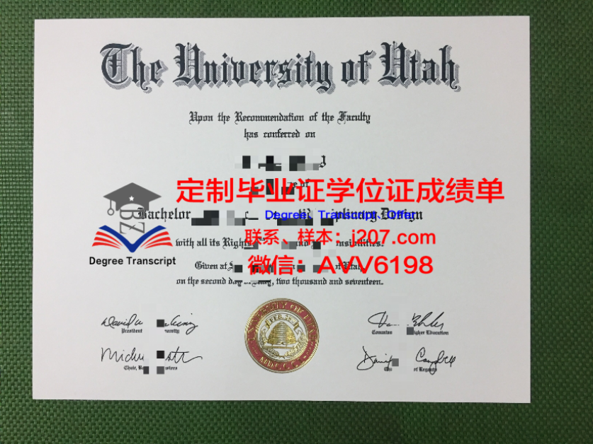 UMD学位证——开启国际化教育新篇章