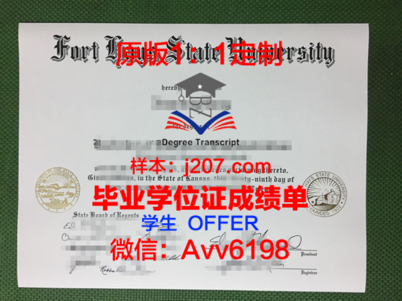 翁大博士学位证：一段传奇的学术历程