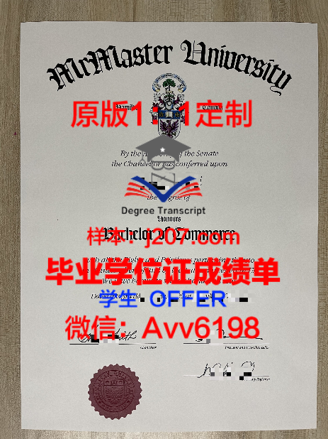比萨高等师范学院毕业证：一份跨越时空的荣誉见证
