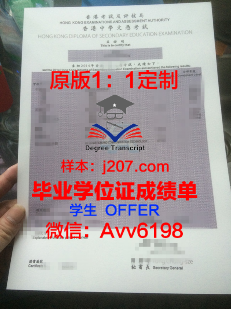 探索Southbank学位成绩单定制之谜