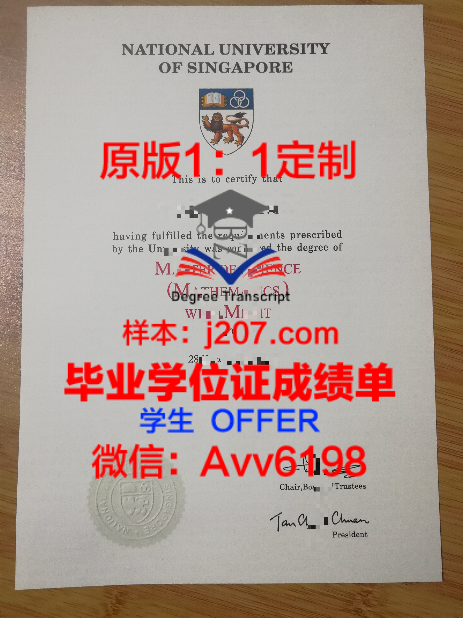 哈师大毕业证书样本：承载知识与荣誉的瑰宝