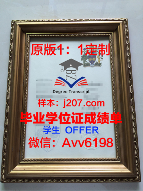 南京大学学位证成绩单：学术实力的见证