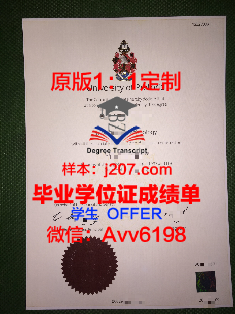 济南大学成人本科学士学位证书样本揭秘