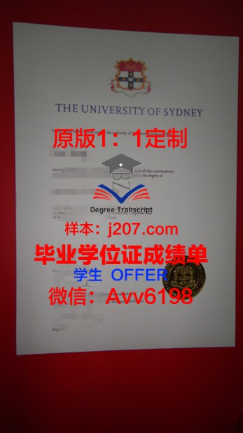 中南财经政法大学学位证书：设计之美与学校文化底蕴的完美融合