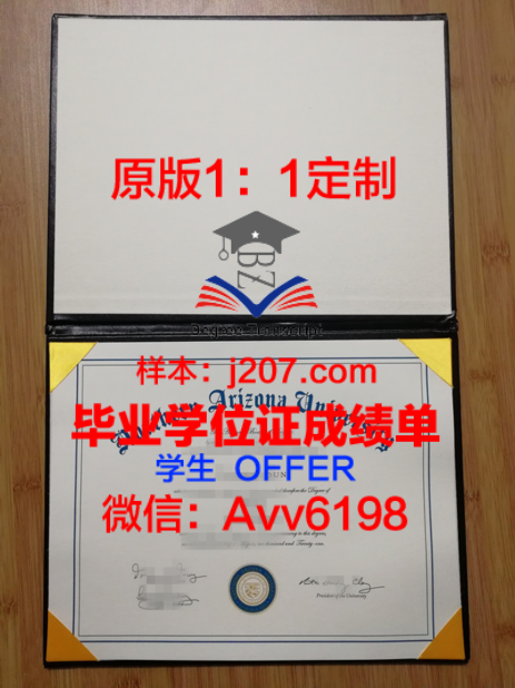 千叶U博士学位证：一份国际认可的学术荣誉