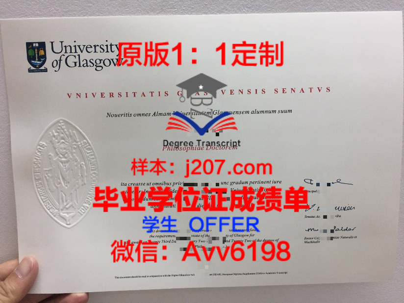 昆杜的专业开设：融合国际视野，培养未来精英