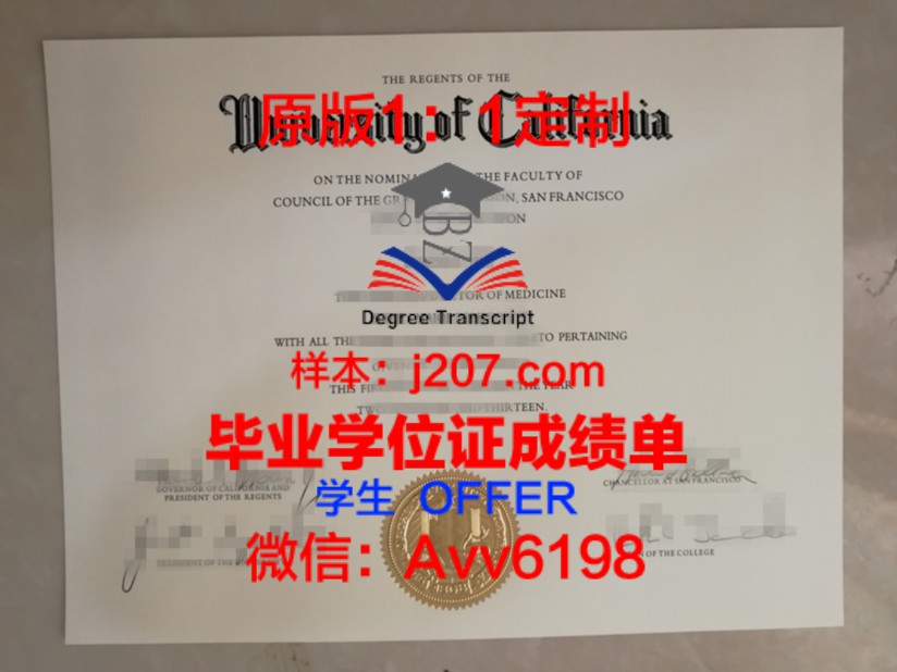 东莞理工学院成绩全班倒数第一，反思背后的原因与启示