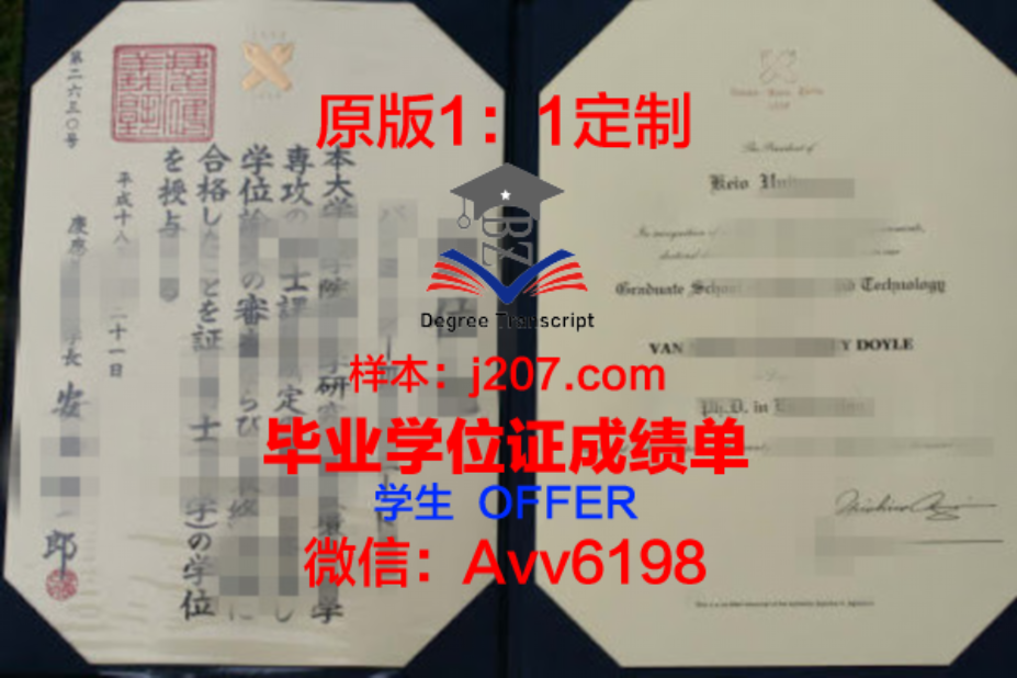 网上有毕业证电子版吗？