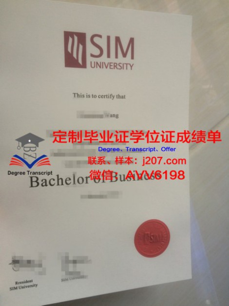 办新加坡dp毕业证丢了怎么办(新加坡sim毕业证)