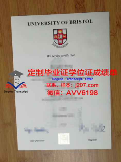 2008年高中毕业证样本图片(2008年高中毕业证样本图片大全)