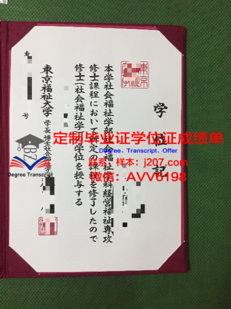 伊利诺伊大学芝加哥分校毕业证书什么颜色(美国芝加哥伊利诺伊大学怎么样)