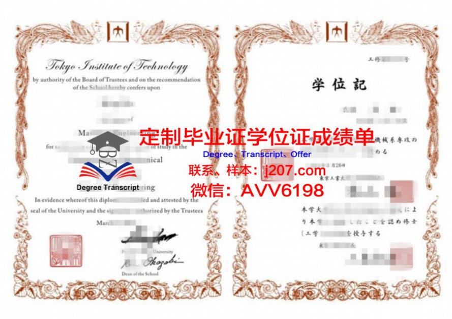 IPAG高等商学院毕业证图片(商学院认证aacsb)