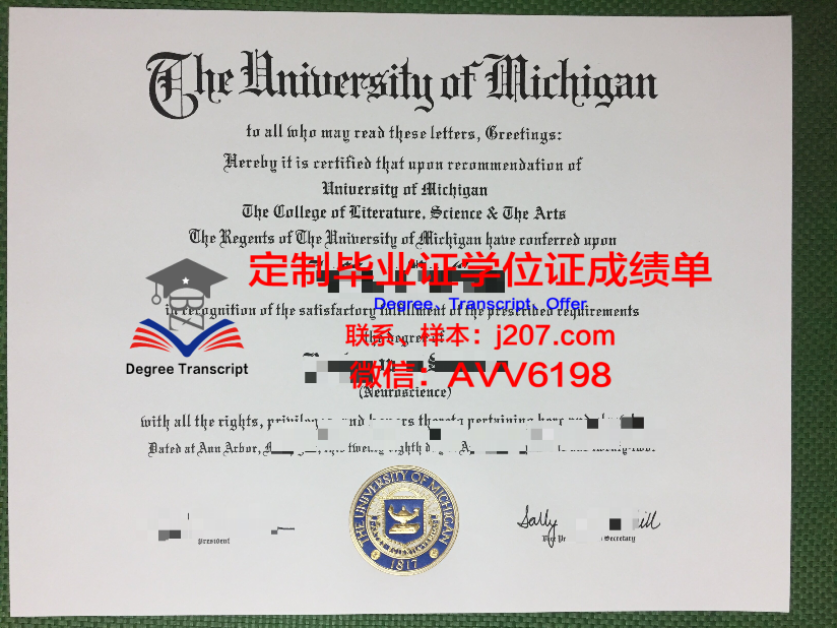 俄罗斯科学院远东研究所毕业证样式(俄罗斯远东大学留学条件)