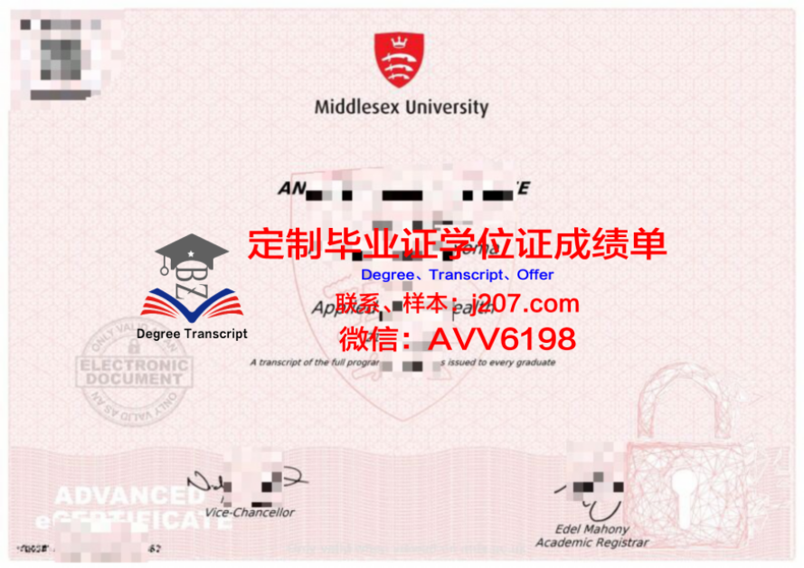 俄罗斯科学院西伯利亚分院油气地质学与地球物理学研究所毕业证书图片高清