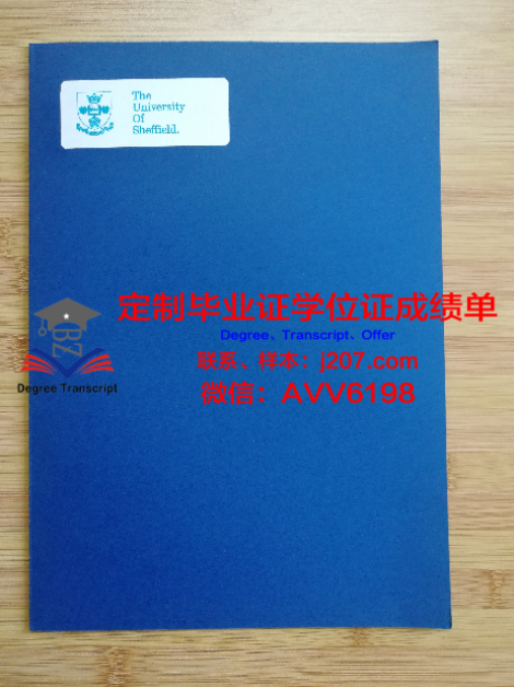 俄理工博士学位证图片大全：领略学术荣耀的瞬间