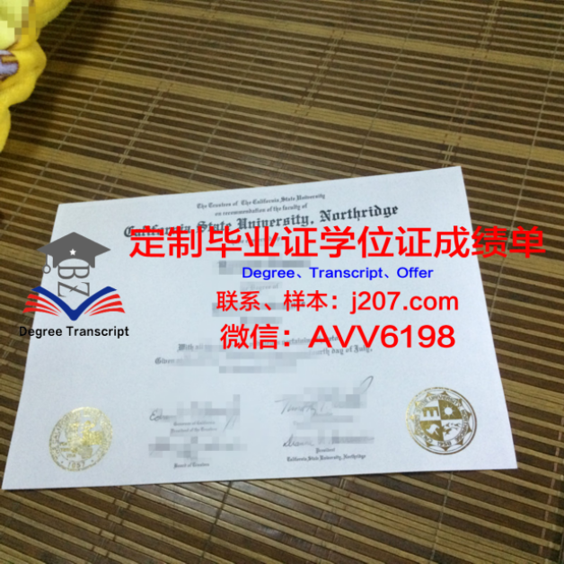 俄罗斯科学院西伯利亚分院油气地质学与地球物理学研究所学位证