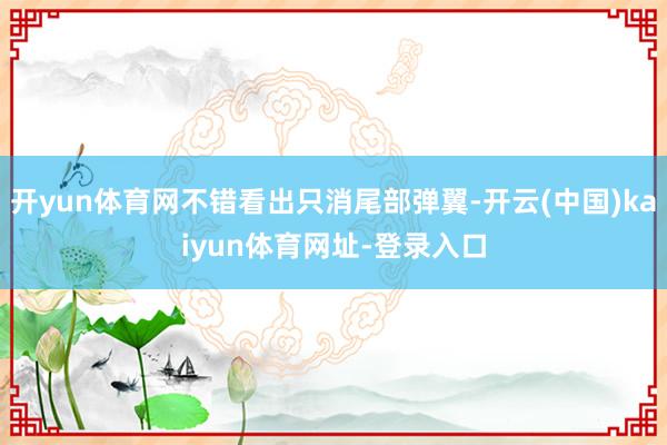 开yun体育网不错看出只消尾部弹翼-开云(中国)kaiyun体育网址-登录入口