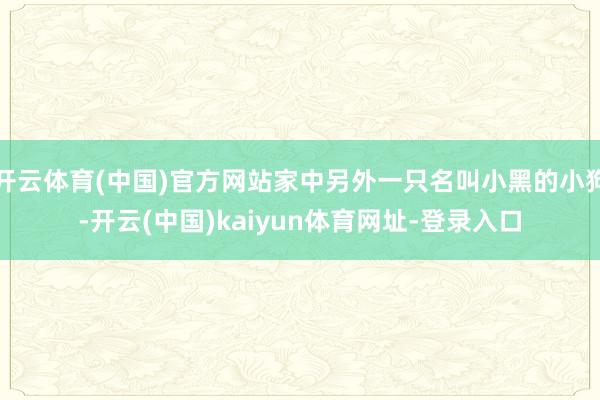 开云体育(中国)官方网站家中另外一只名叫小黑的小狗-开云(中国)kaiyun体育网址-登录入口