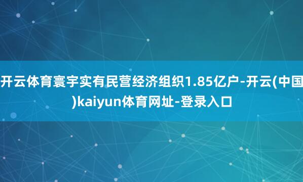 开云体育寰宇实有民营经济组织1.85亿户-开云(中国)kaiyun体育网址-登录入口