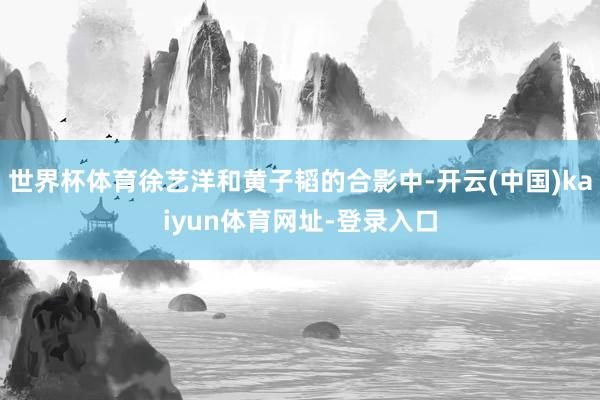 世界杯体育徐艺洋和黄子韬的合影中-开云(中国)kaiyun体育网址-登录入口
